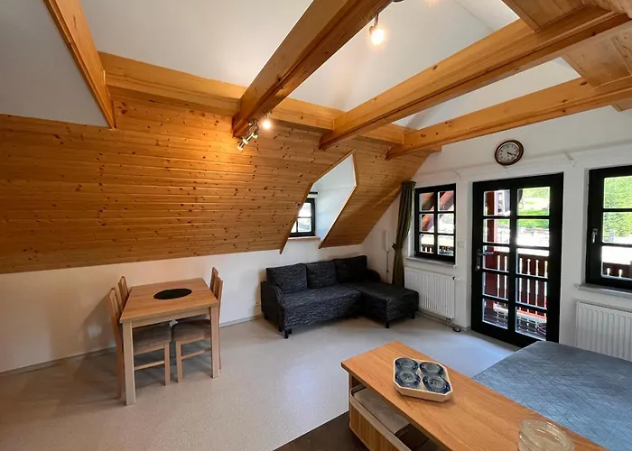 Apartmán Hofberg Nové Hamry